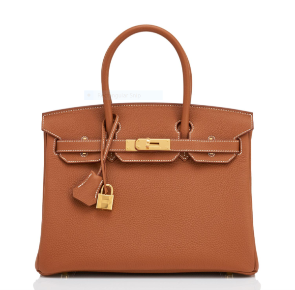 Hermes Birkin 30 Gold Tan Togo Gold Hardware Bag - Image 5